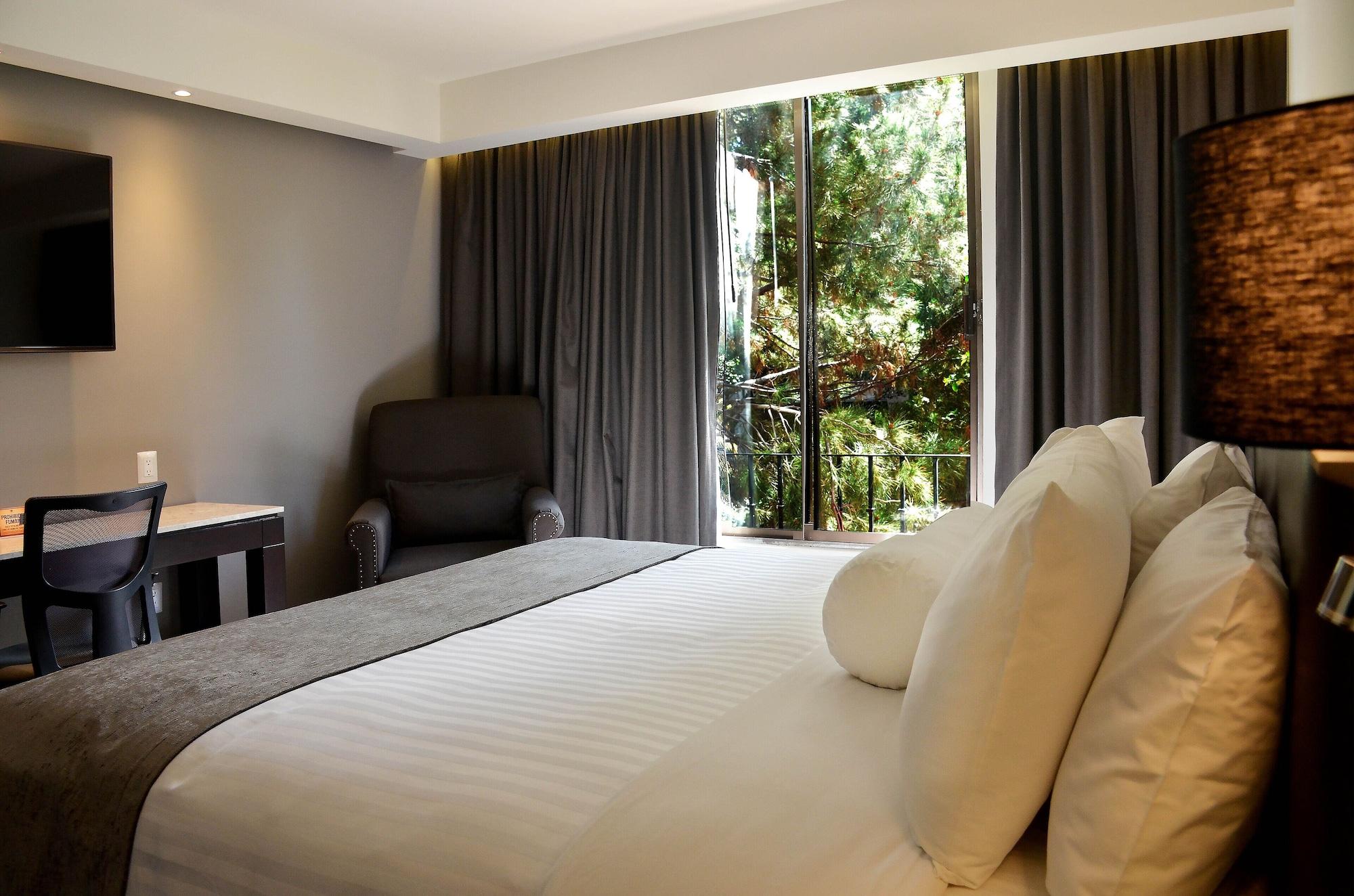 Hotel Gobernador デュランゴ エクステリア 写真