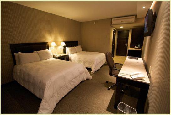 Hotel Gobernador デュランゴ 部屋 写真
